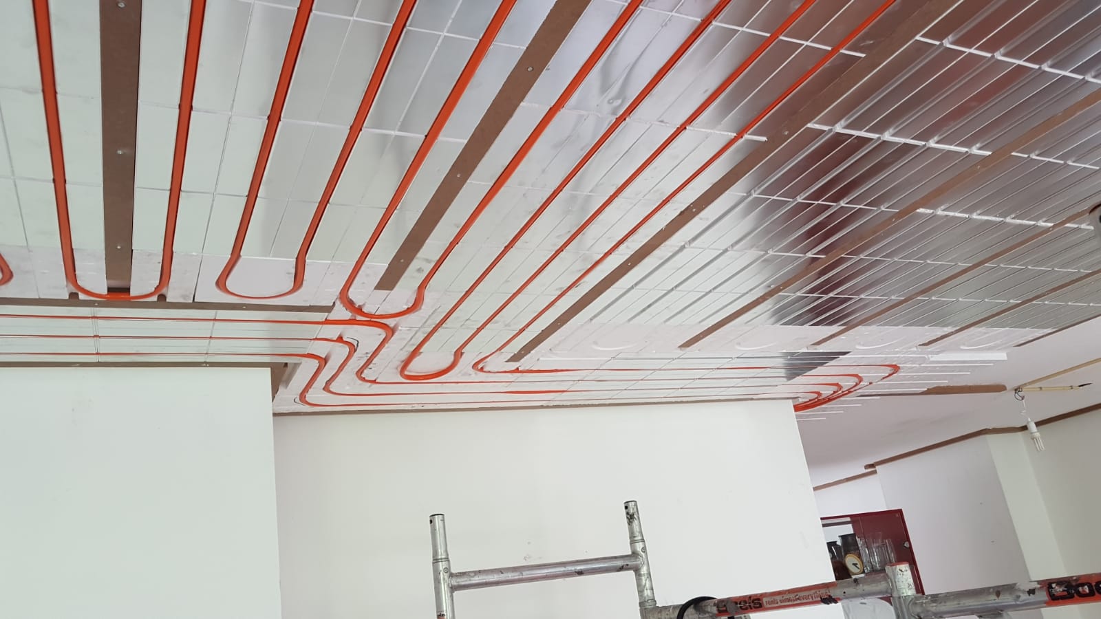 Plafond VV Spiegelkarper Leiden